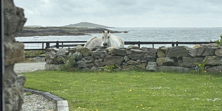 holiday home to rent errislannan clifden connemara (1)