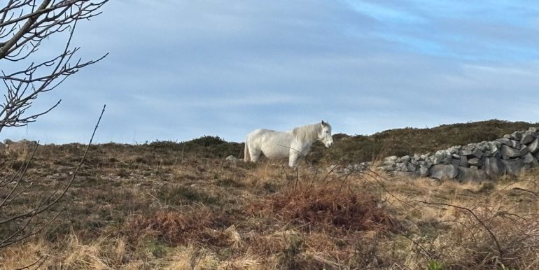 vacation rental wild atlantic way galway (1)